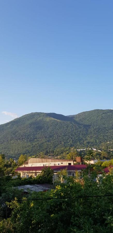 Arins-Park Otel Otradnoe Dış mekan fotoğraf